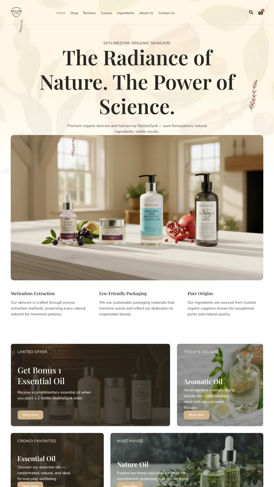 Screenshot of a skylinesynk website made by digital agency City Profit