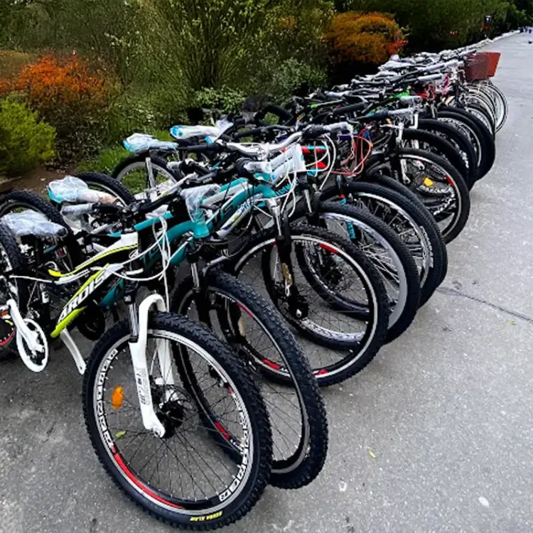Bicycles from a bicycle retailer - client of City Profit
