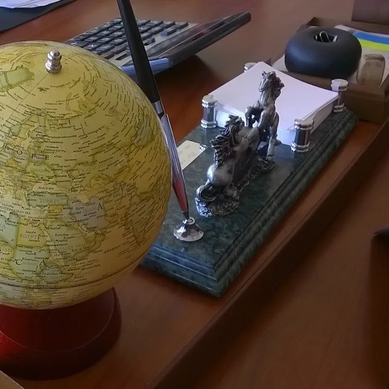 Globus in the office of ALG KZ - City Profit partner